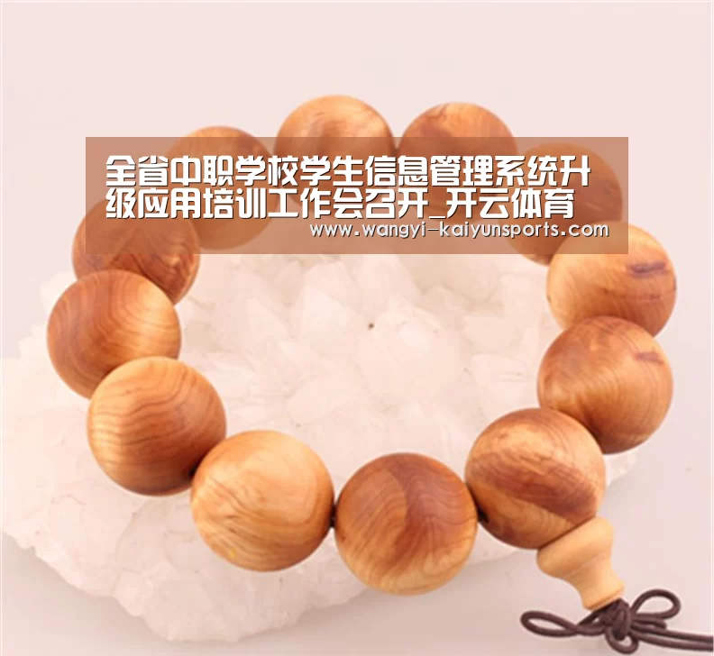 全省中职学校学生信息管理系统升级应用培训工作会召开_开云体育(图1) 开云App下载