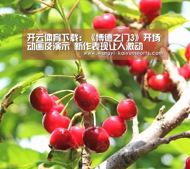 开云体育下载:《博德之门3》开场动画及演示 新作表现让人激动(图2) 开云体育下载